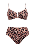 Jade-Fierce Cutout Set