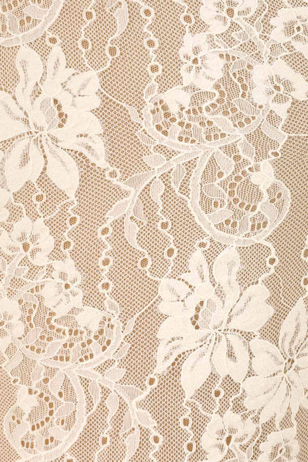 Abdala Lace Bodysuit - Beige
