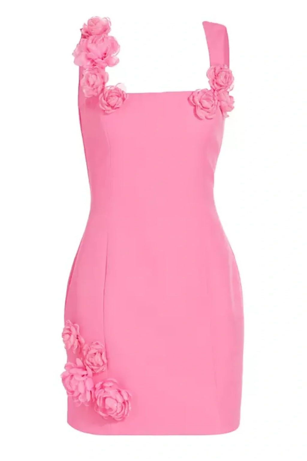 Dilanne Floral  Appliqué Mini Dress - Pink