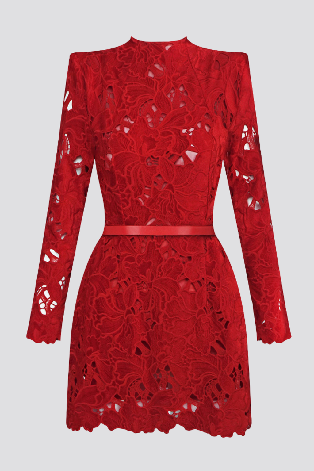 Medea Floral Lace Mini Dress