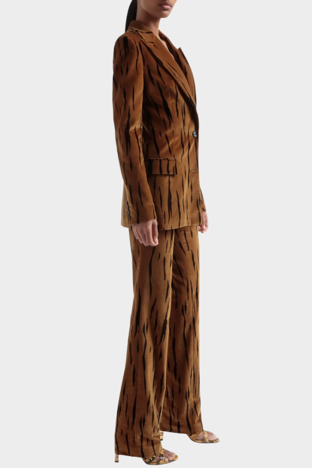 Omaira Tiger Print Velvet Blazer & Pants Set