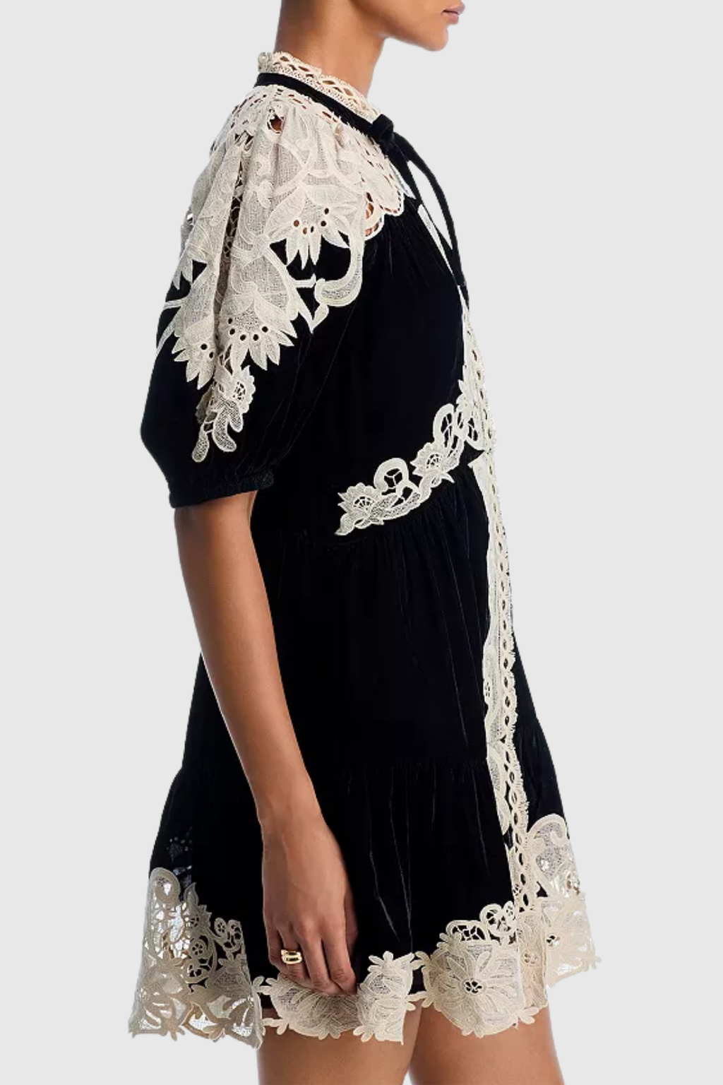 Pasca Lace-trimmed Velvet Mini Dress