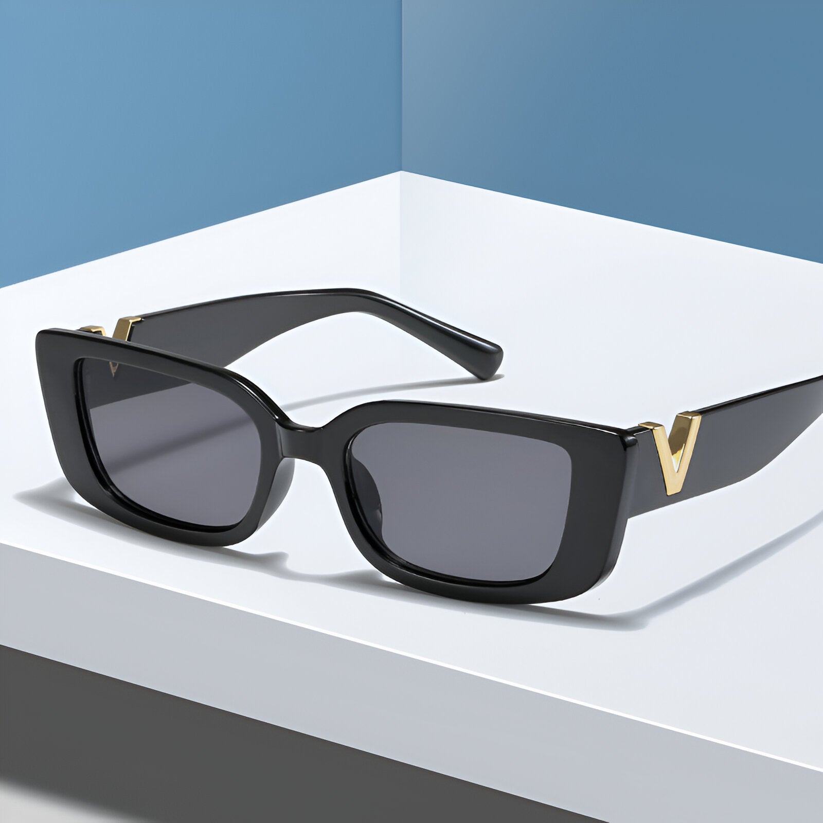 SARA-V DETAIL FRAME