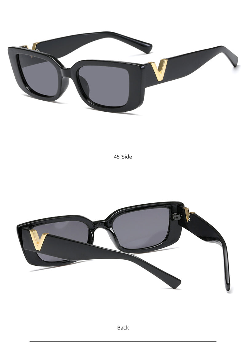 SARA-V DETAIL FRAME