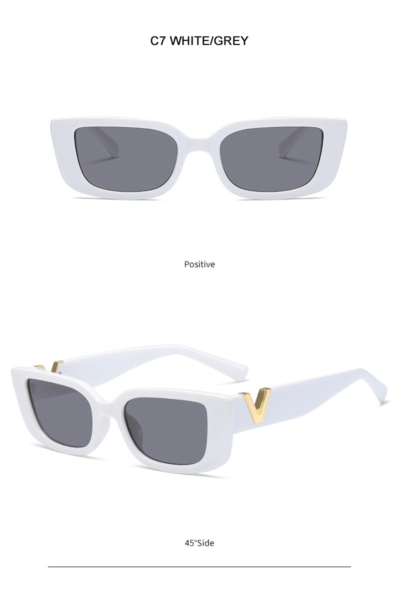 SARA-V DETAIL FRAME