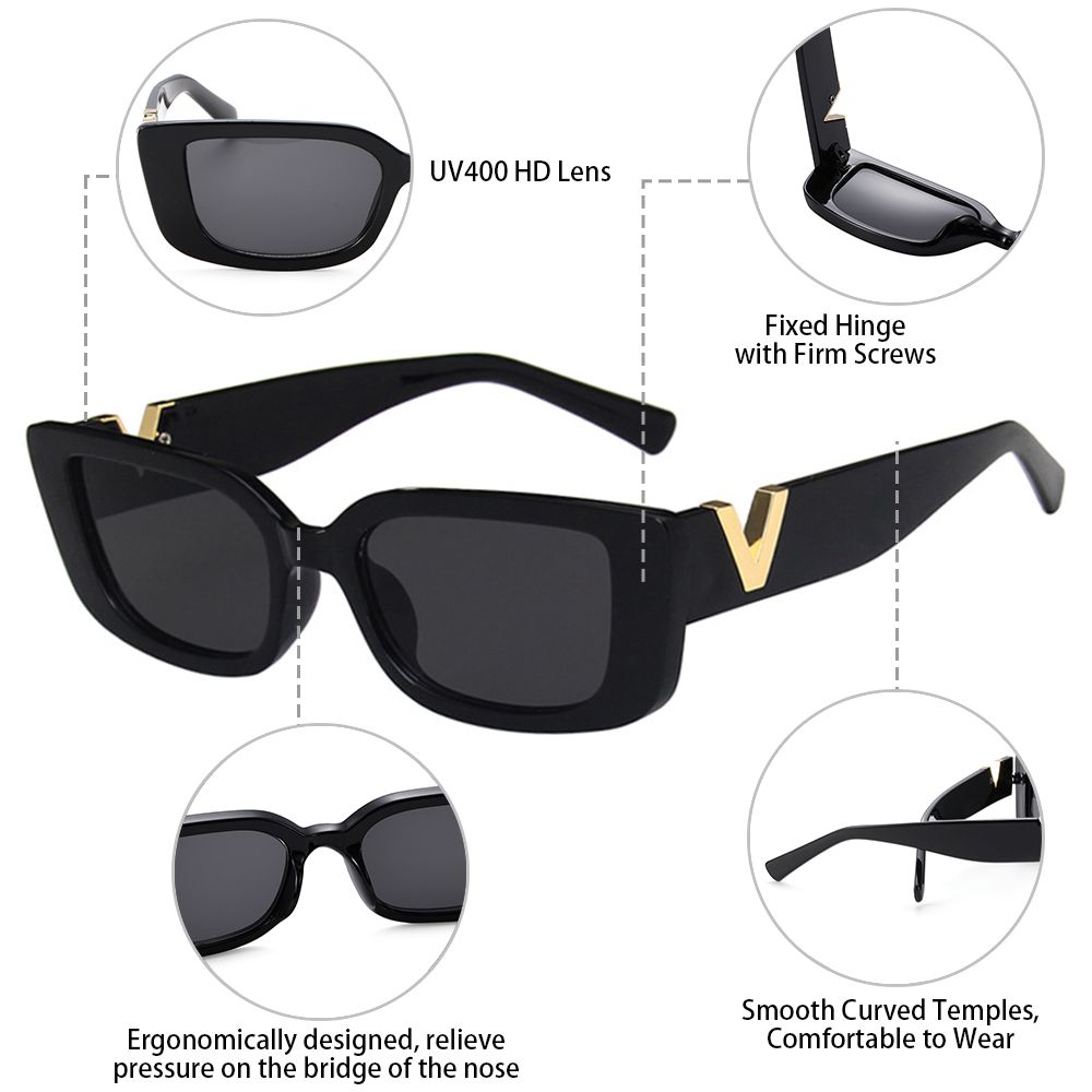SARA-V DETAIL FRAME