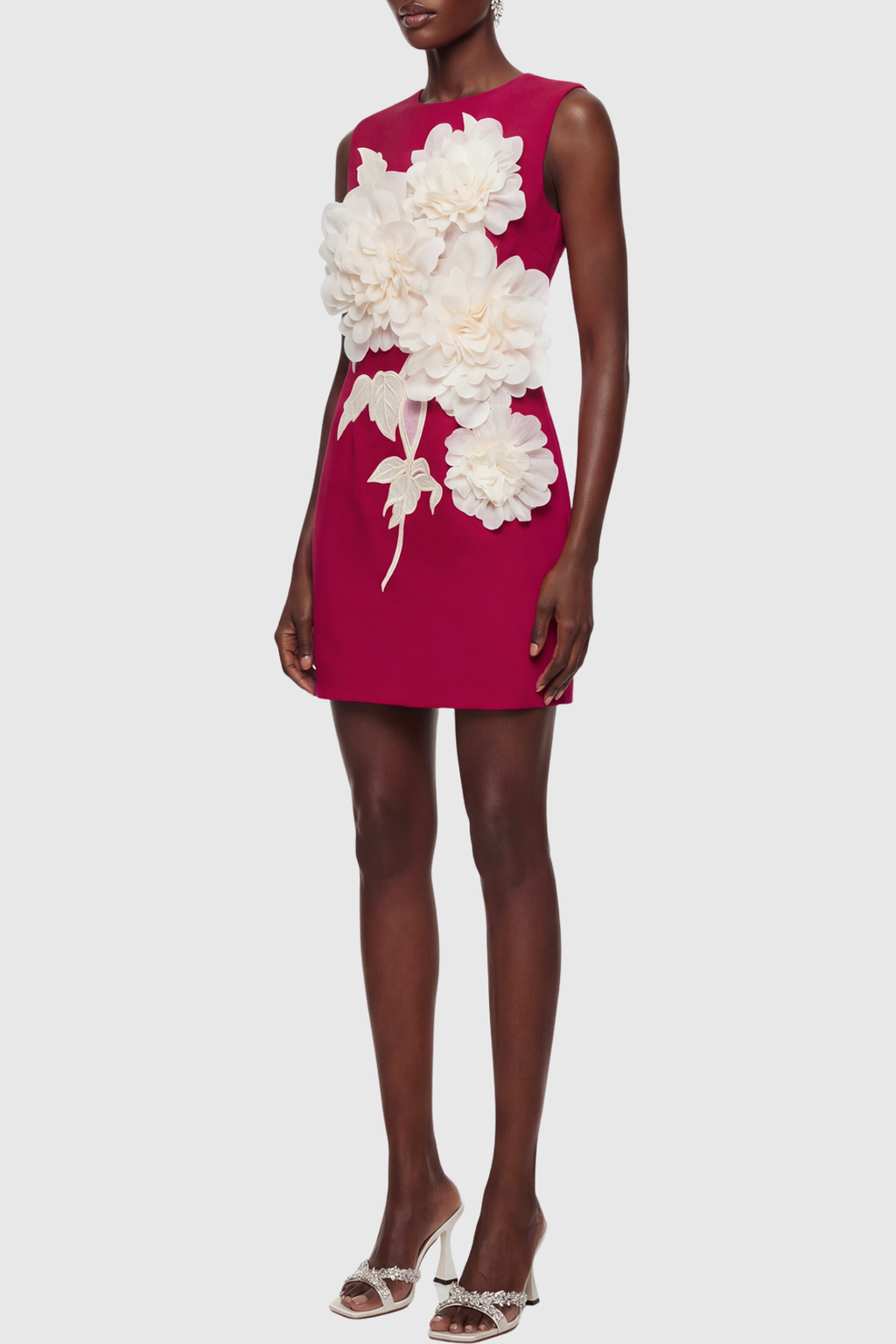 Ventura Floral Applique Sleeveless Mini Dress - Red